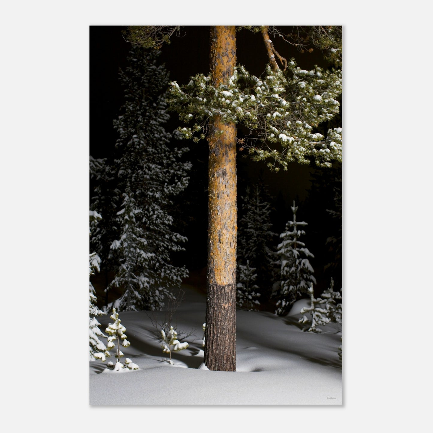 c328936a-2fec-4cc2-bdad-babe7995bff0