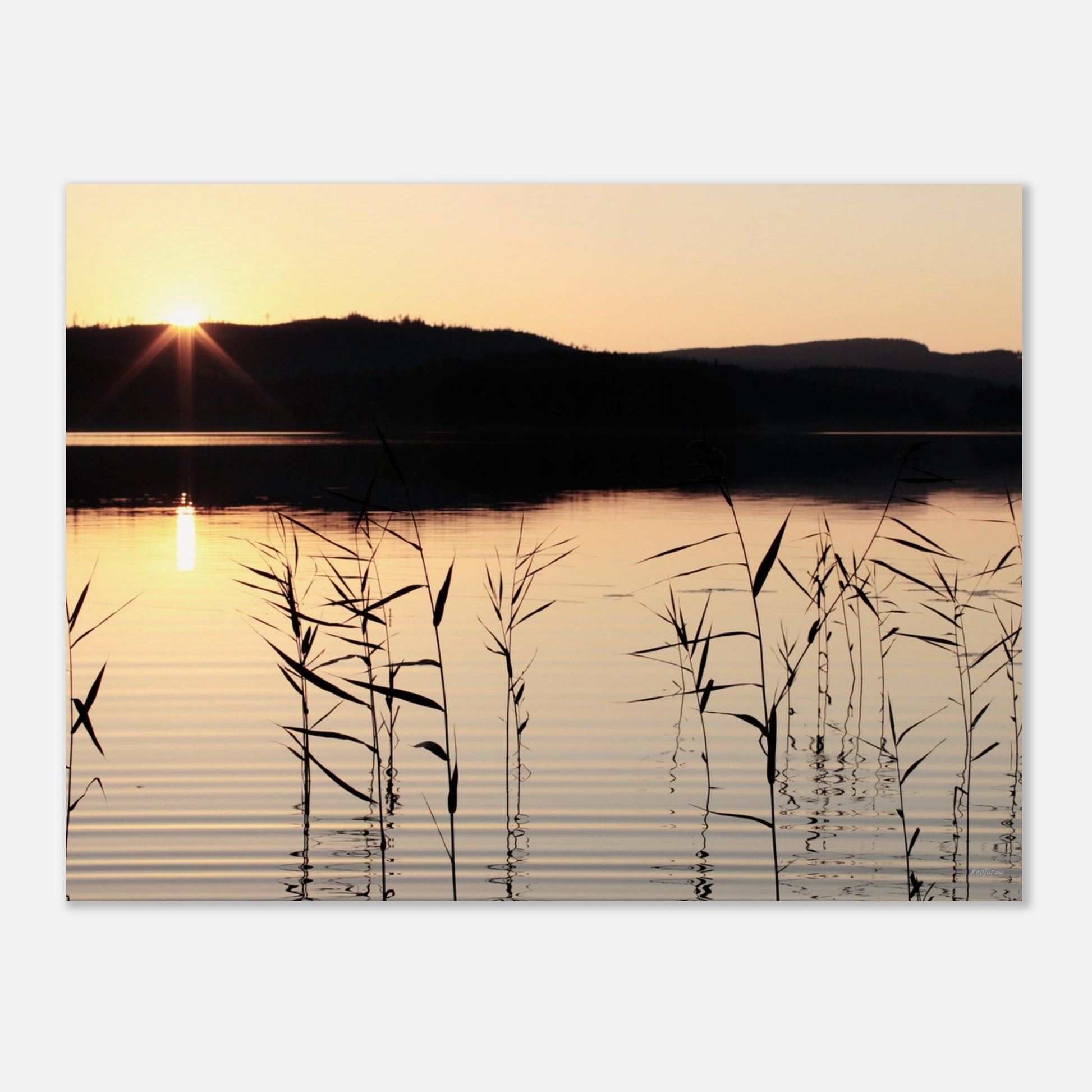 c49dde17-758e-4c39-8af2-3b1f94dfc366