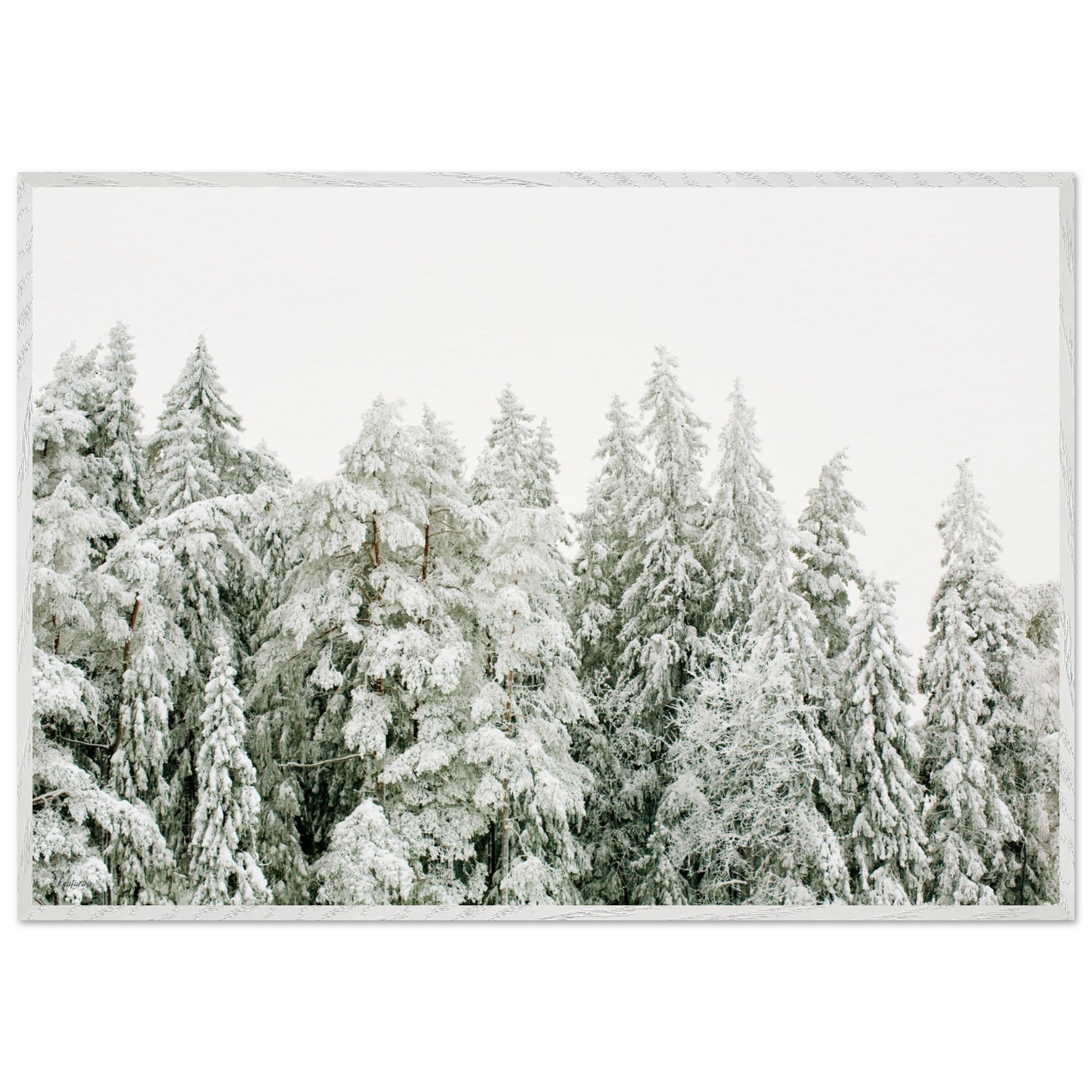 c54632b4-6a78-418d-aa5f-89118bab6f56