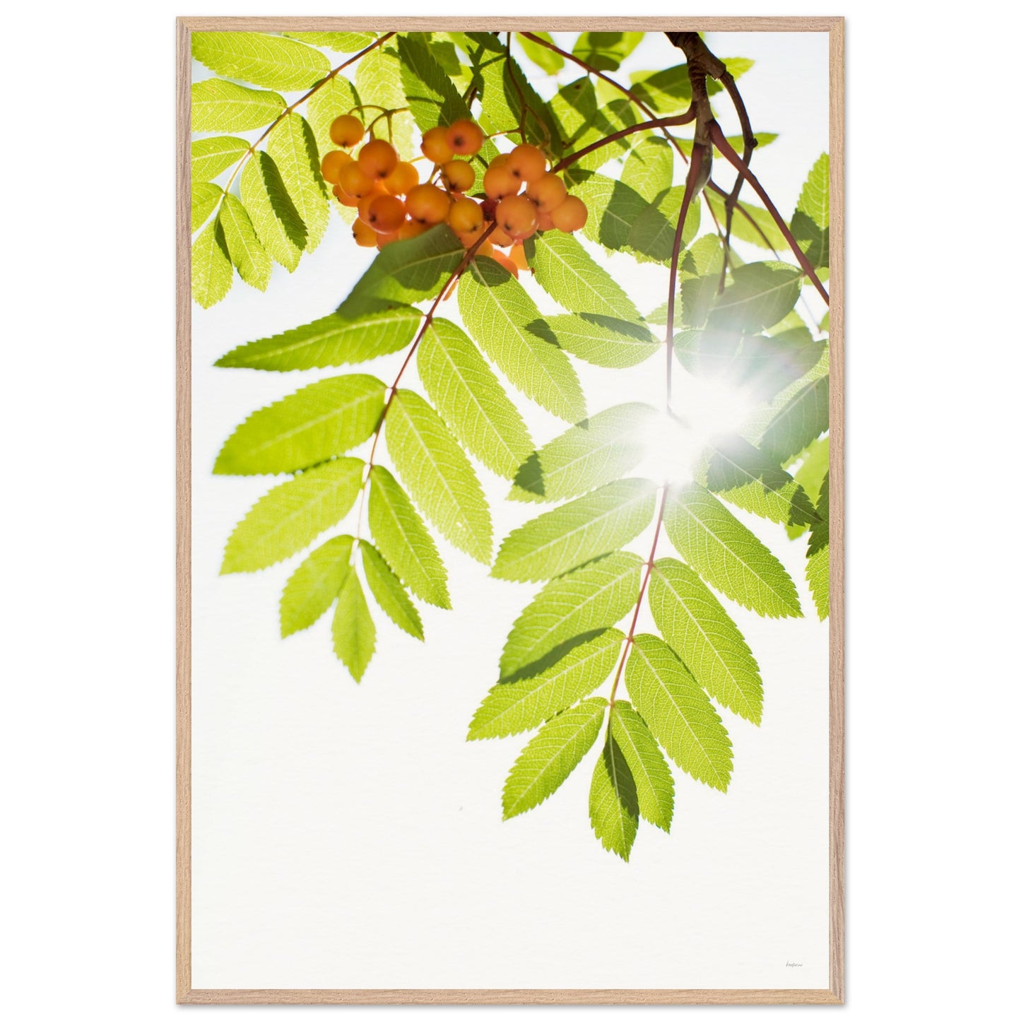 c593f87c-acca-46eb-91a2-911a057b3a3b