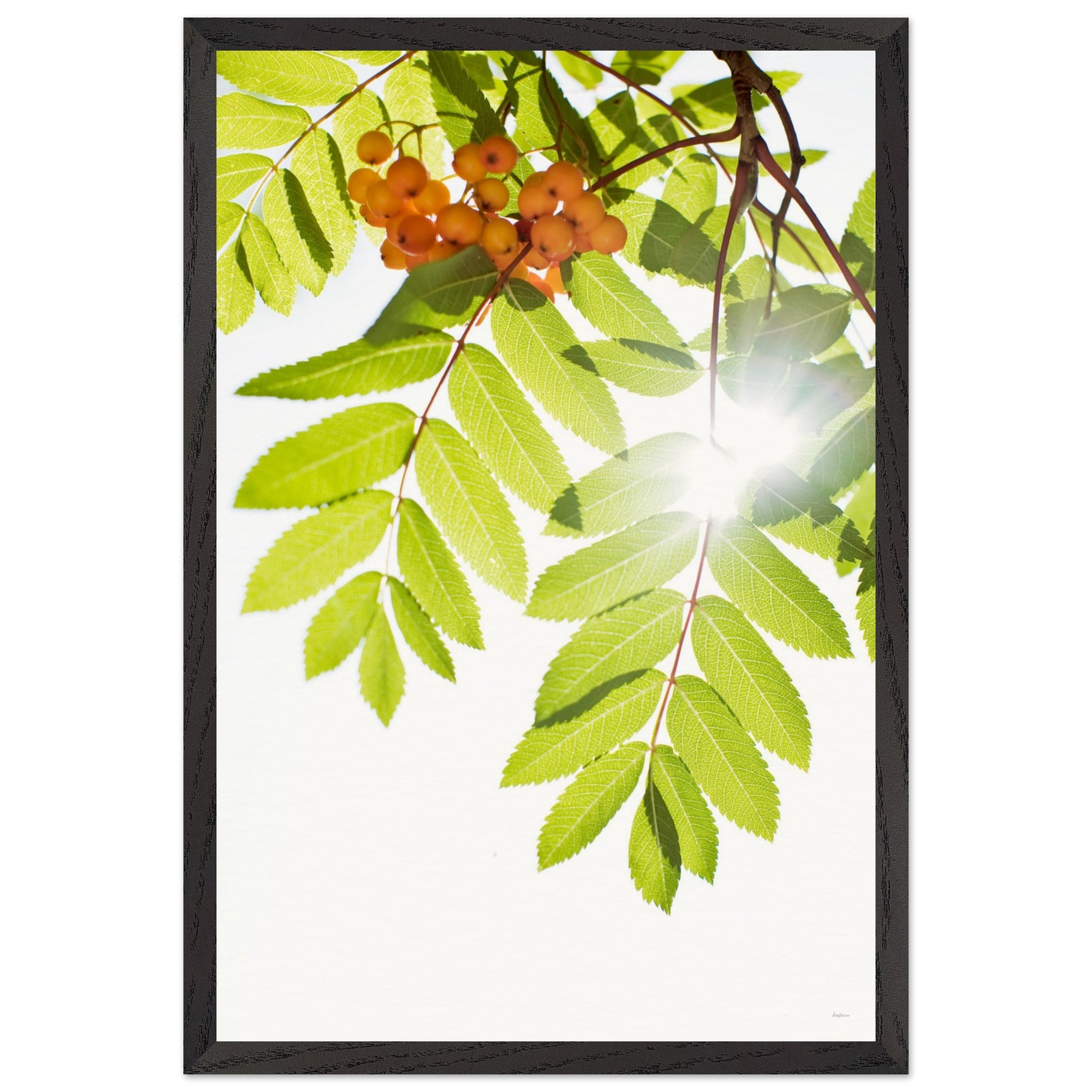 c785a47b-f9a8-43bc-a2f2-97652d9a75c7