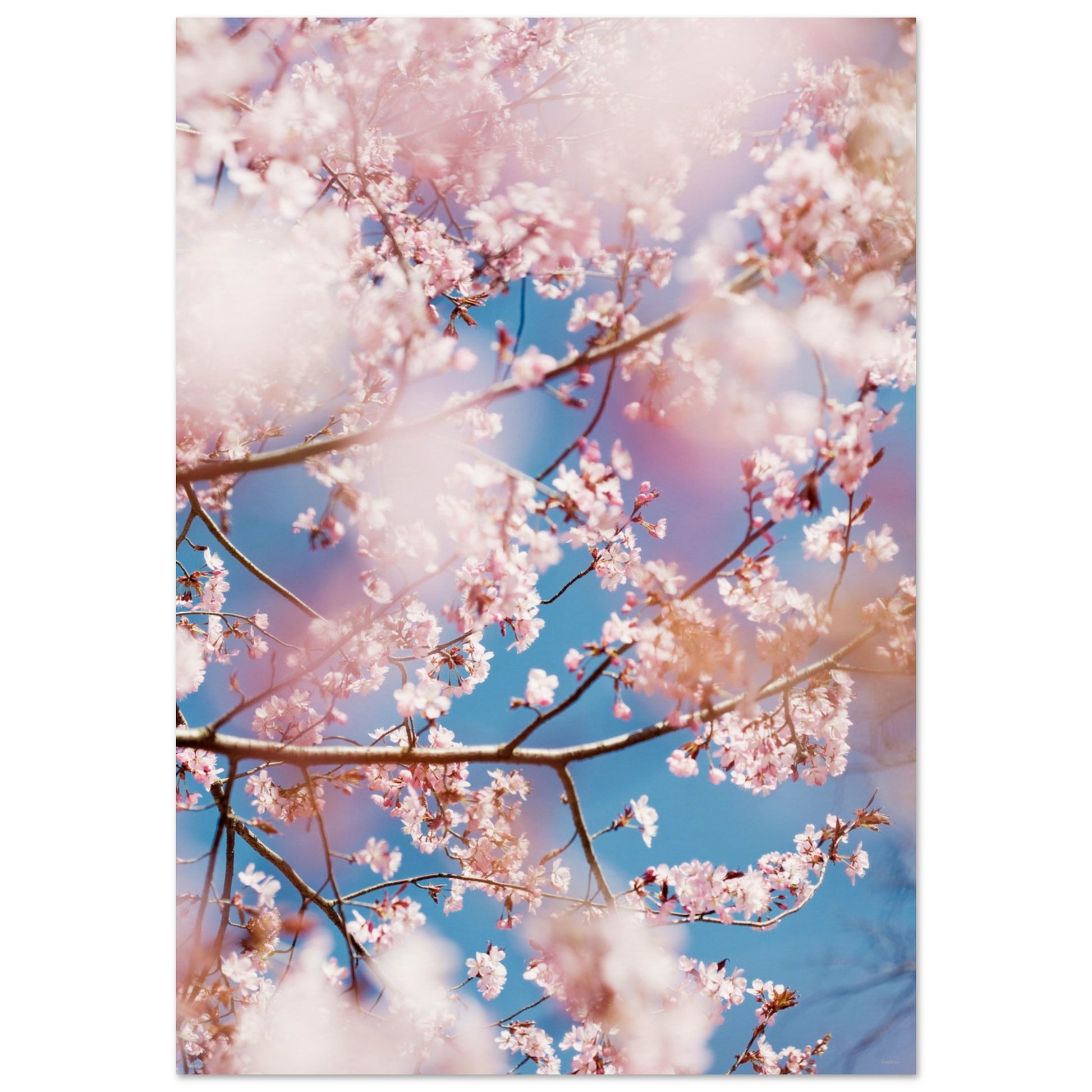 c7a24977-470e-411b-8a7d-a00425a3d126