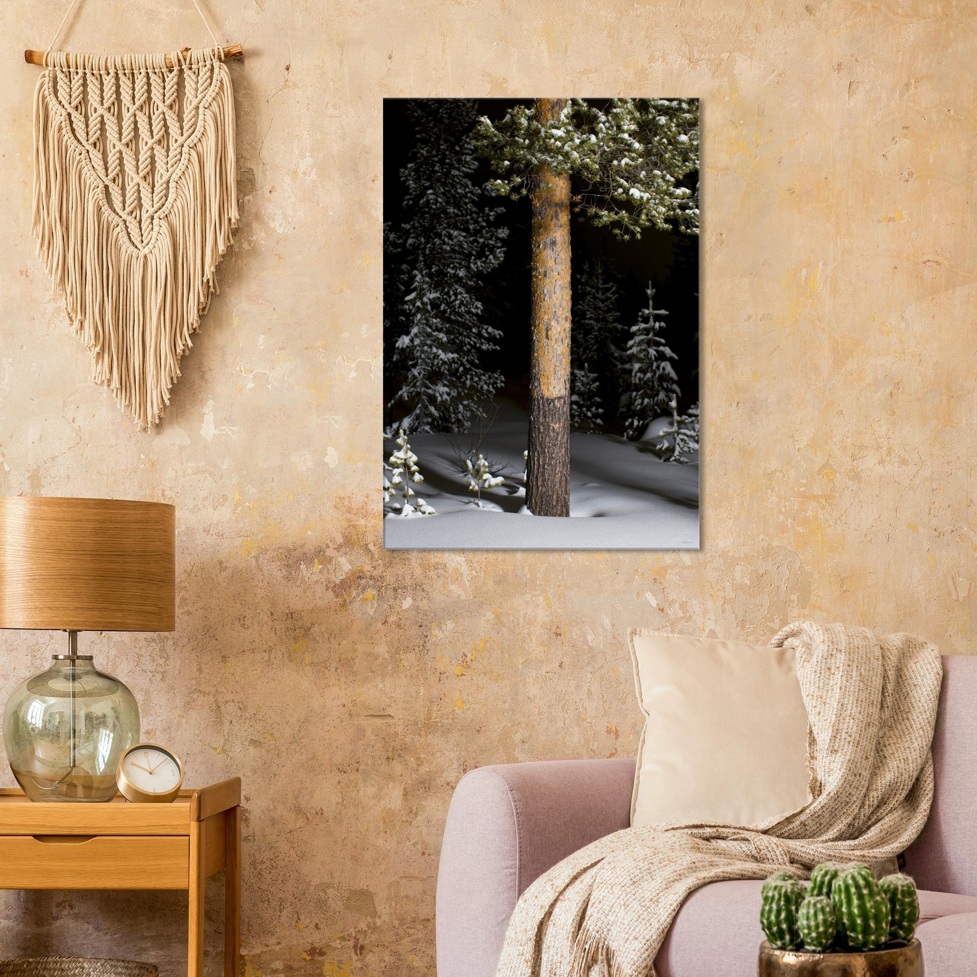 c8326ca6-fcd4-464b-9fe5-5a00a6945dd6