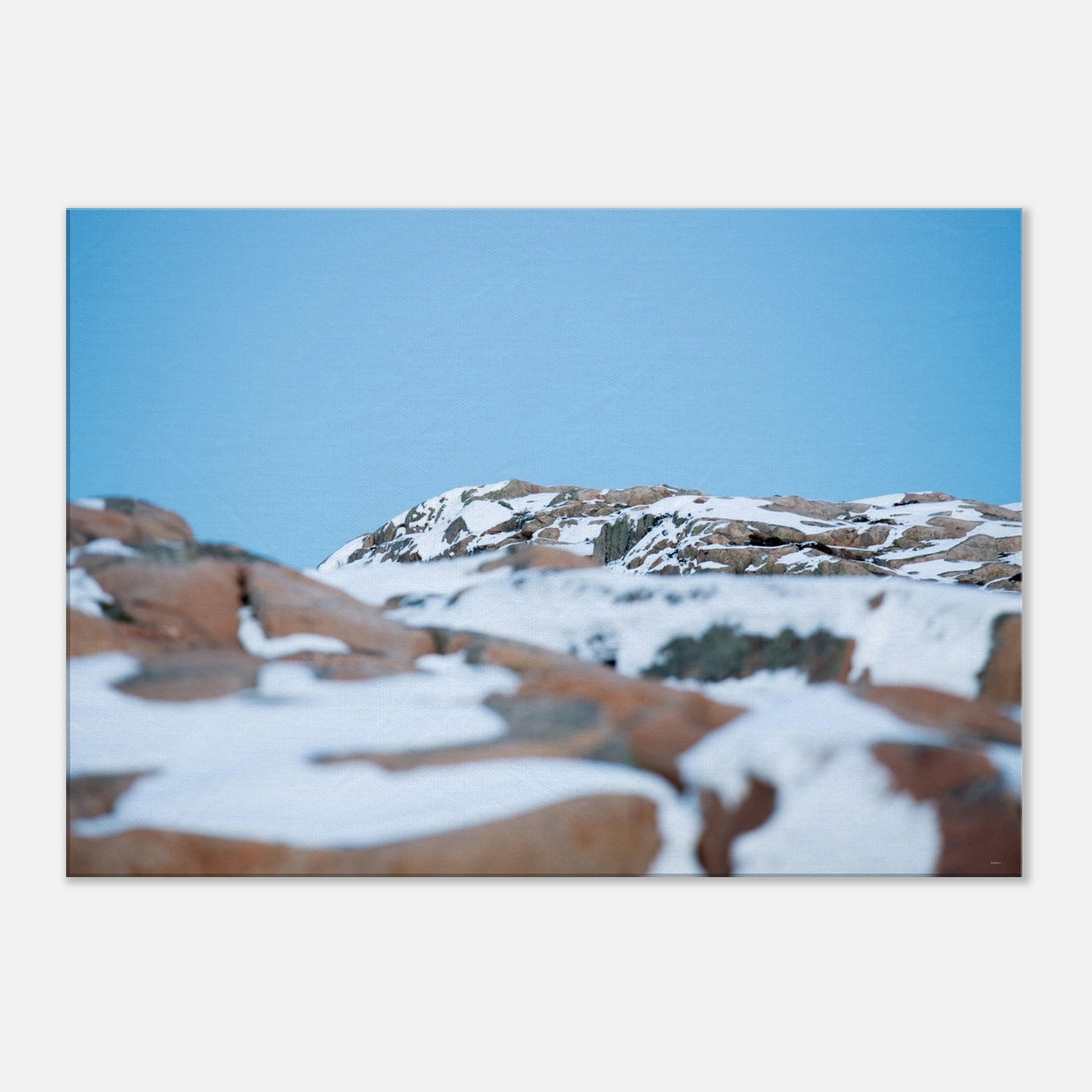 c88b5051-c6e1-4bdb-a408-519f72bfcc4b