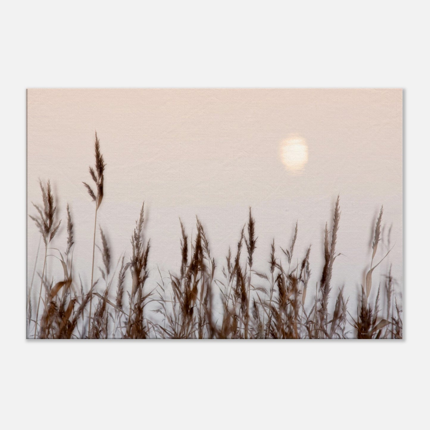 c925094b-6687-40f1-8284-dfdc8e197750