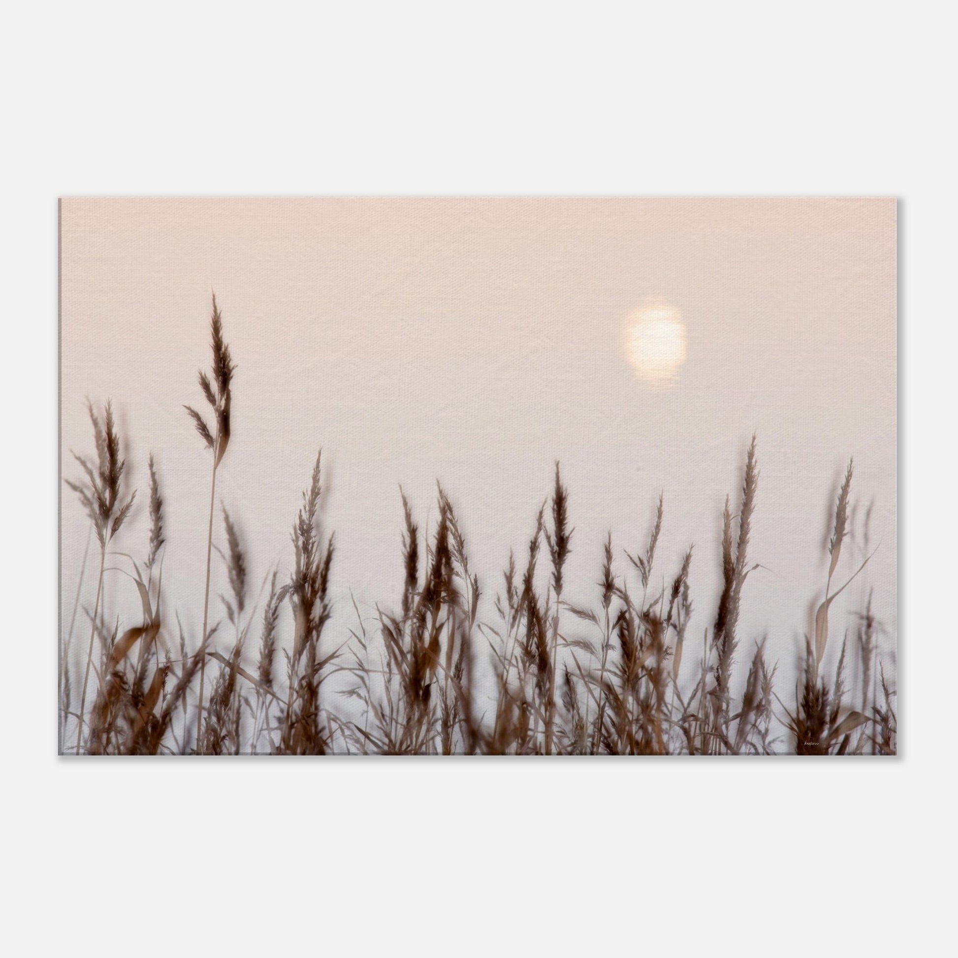 c925094b-6687-40f1-8284-dfdc8e197750