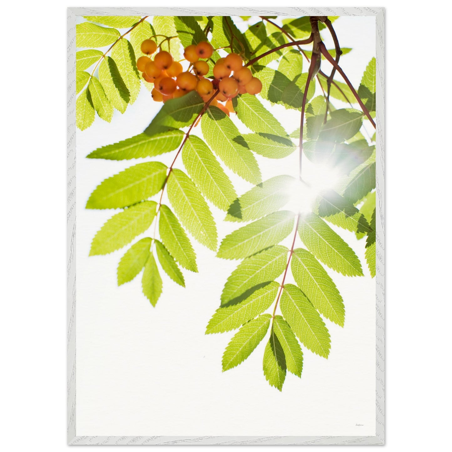 c9e2937d-eba1-4e5b-932a-dcaab059b098