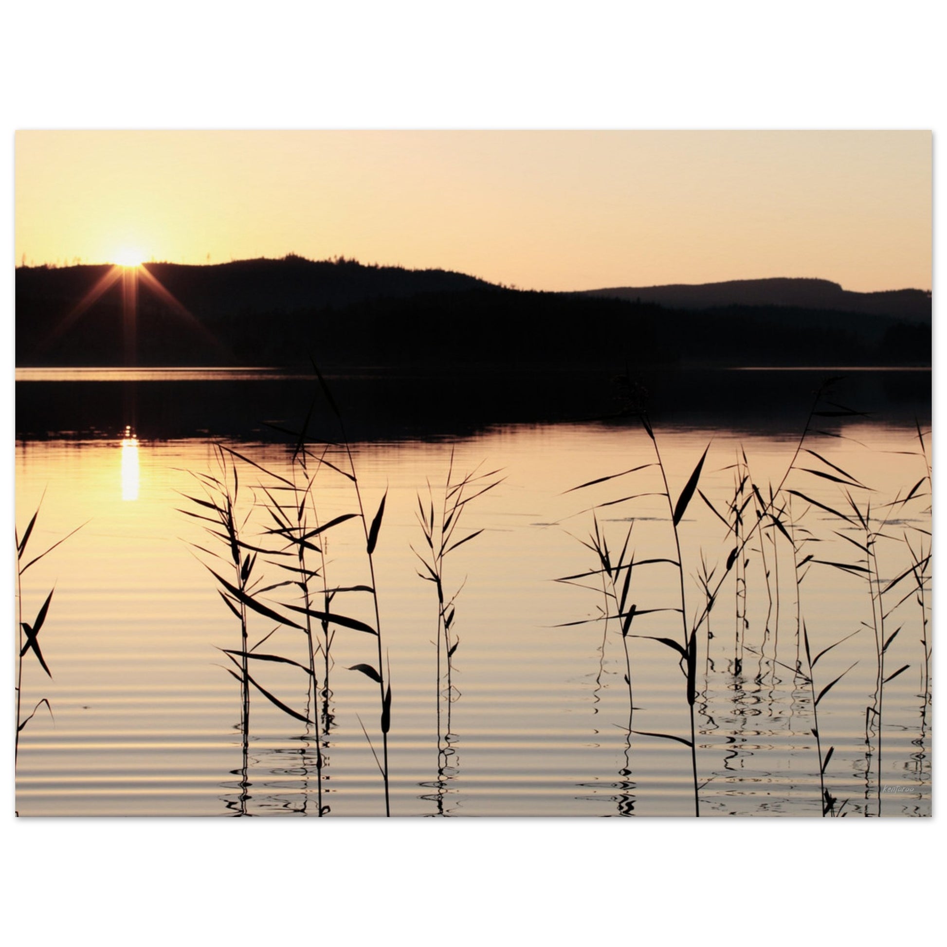 ca0974a3-82a4-43a4-9a1f-f80b431679d3