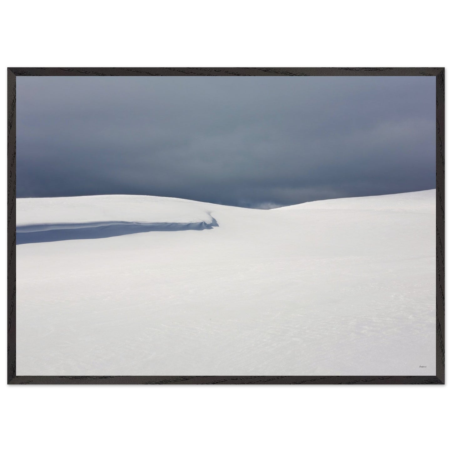 ca2aaf51-d98e-44dd-96a9-d52db9f0e4a9