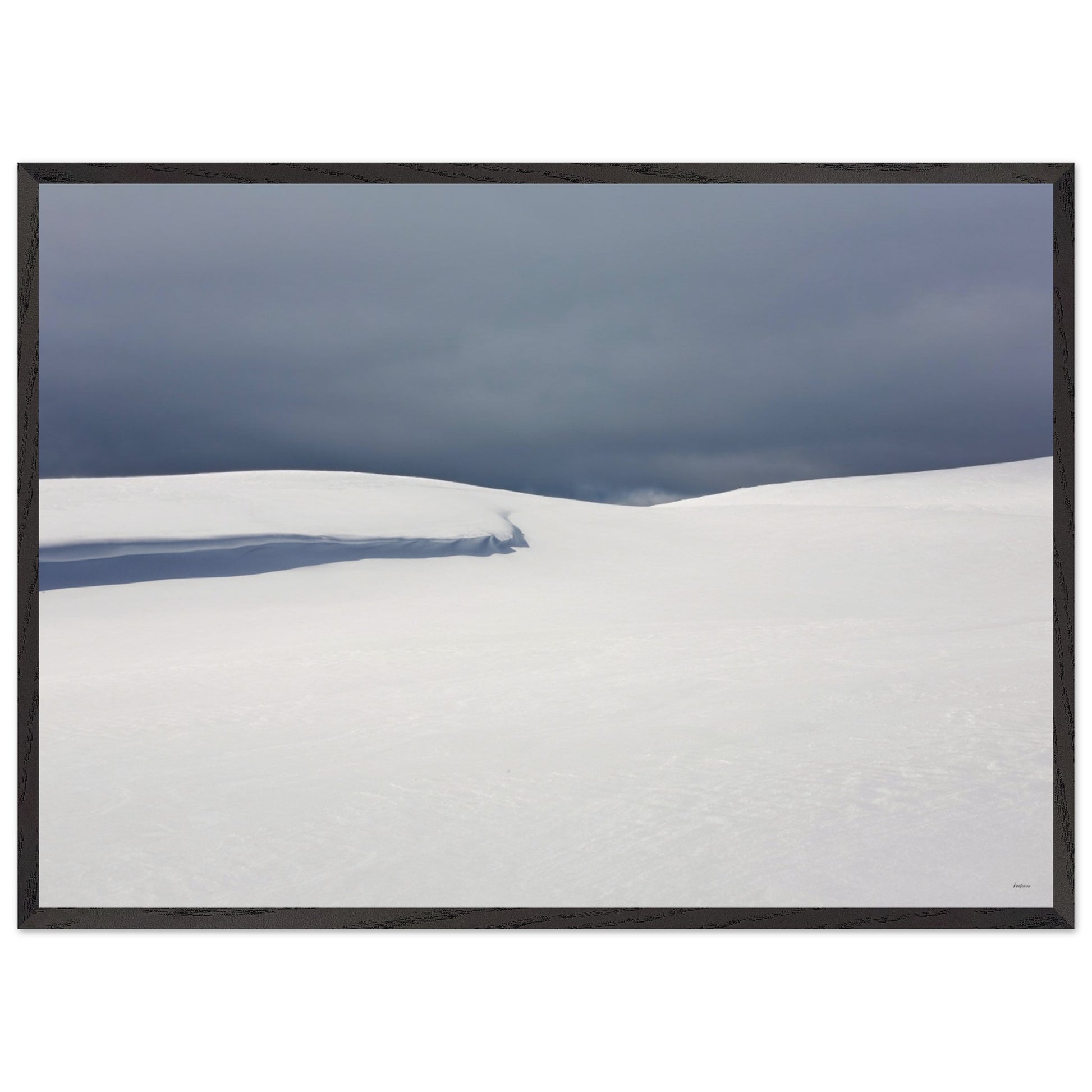 ca2aaf51-d98e-44dd-96a9-d52db9f0e4a9