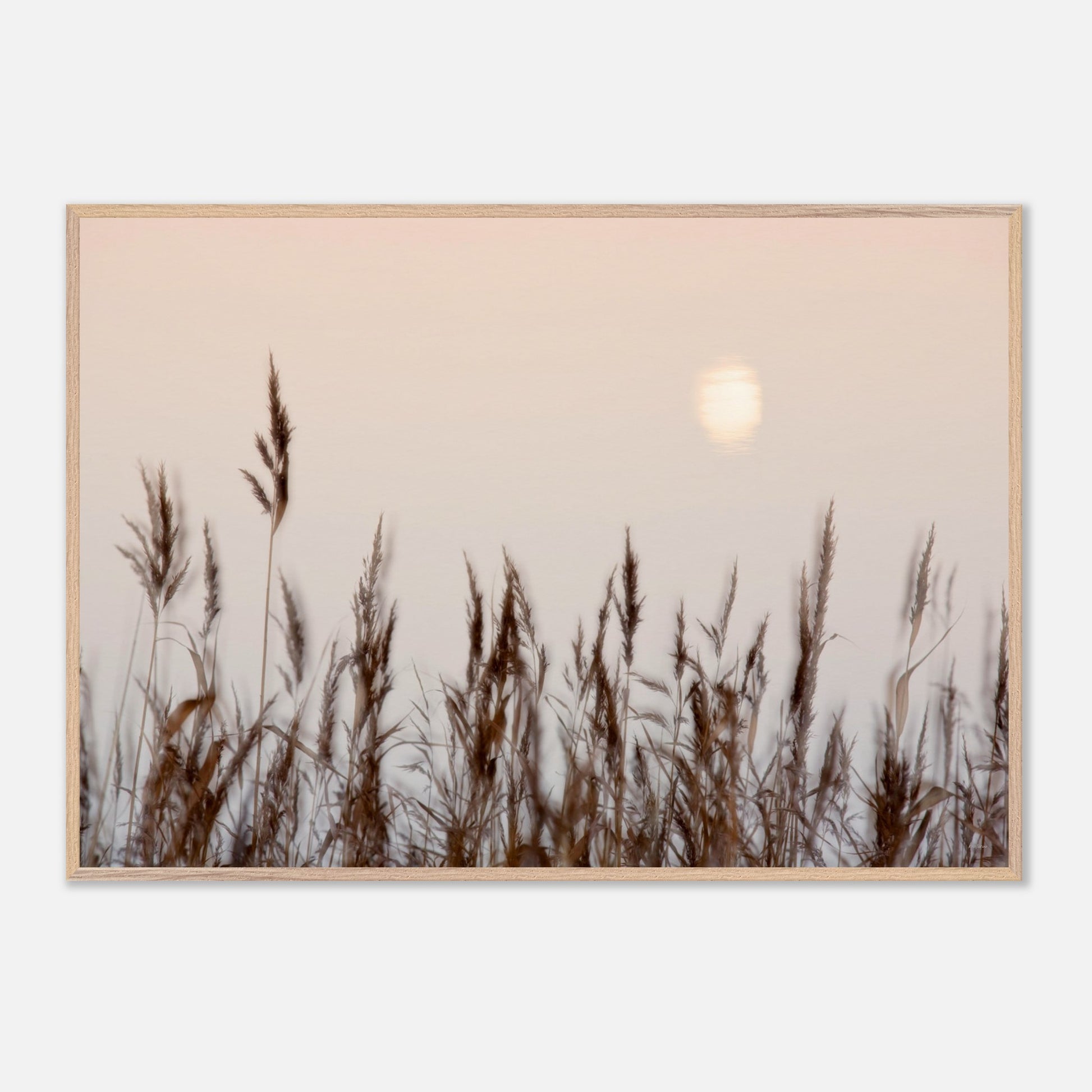 cbddd4b2-b1ef-4a7b-b1c4-15fcf6de7331