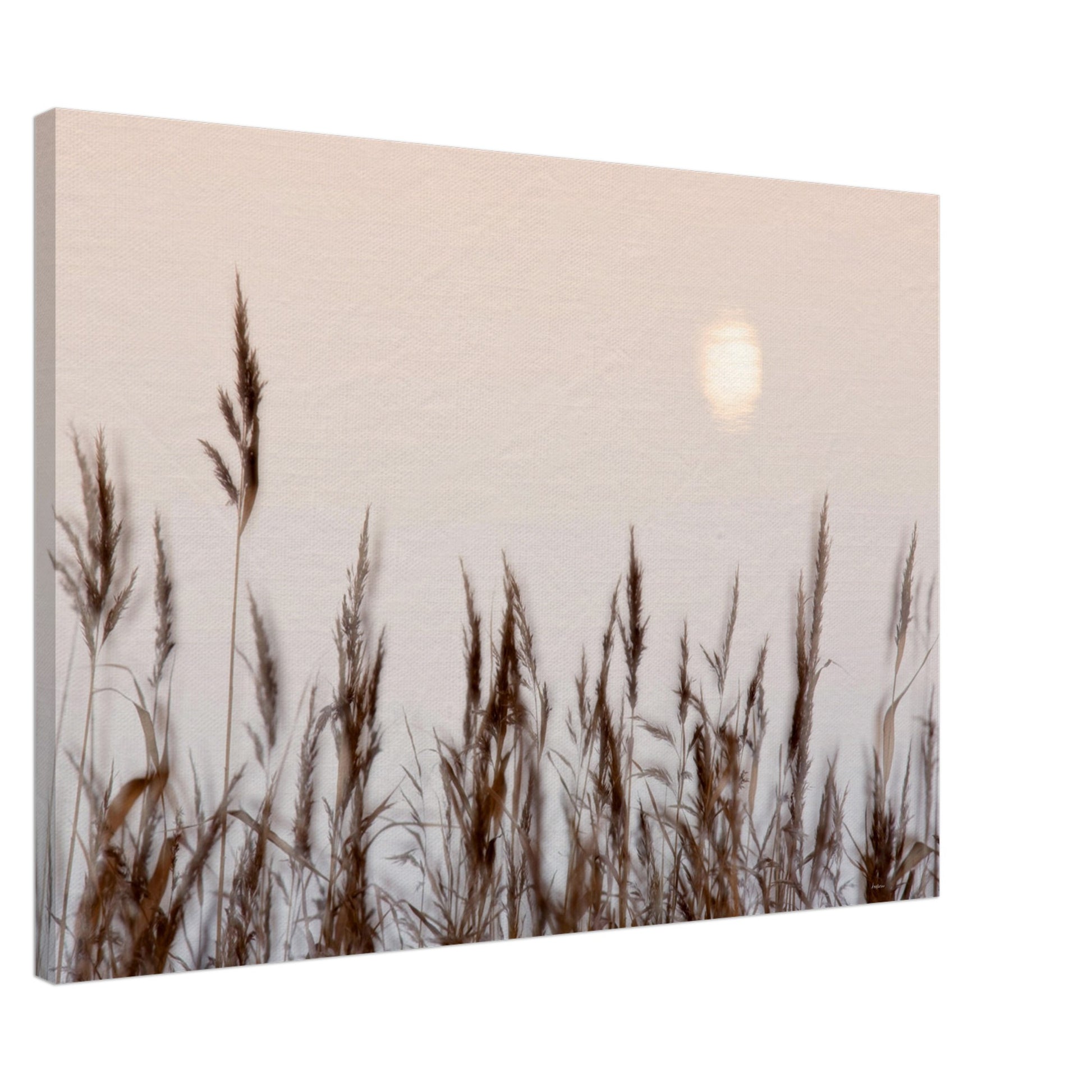 cc5ad607-d28e-4197-b3c6-a261cd7d8d98