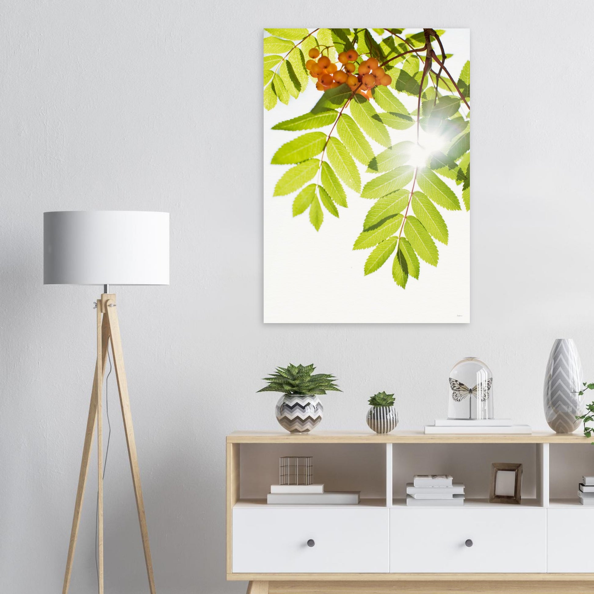 ccd10501-732d-4025-aa19-3b9e1a38d9bb