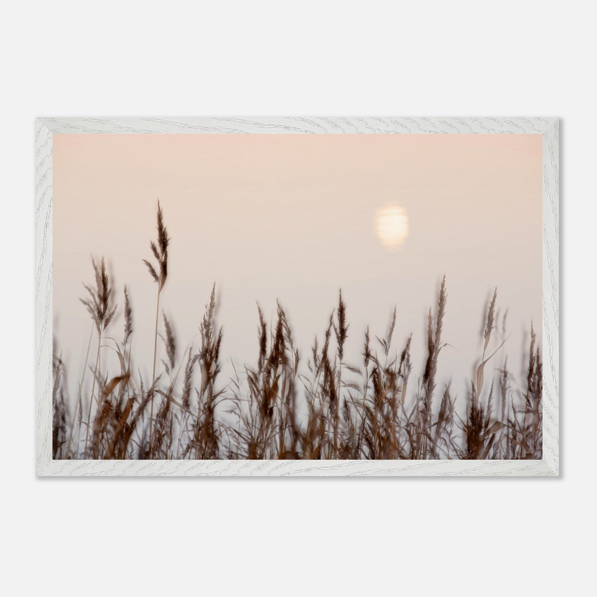 cd45255d-1c5e-49ac-911e-9b22ed636819