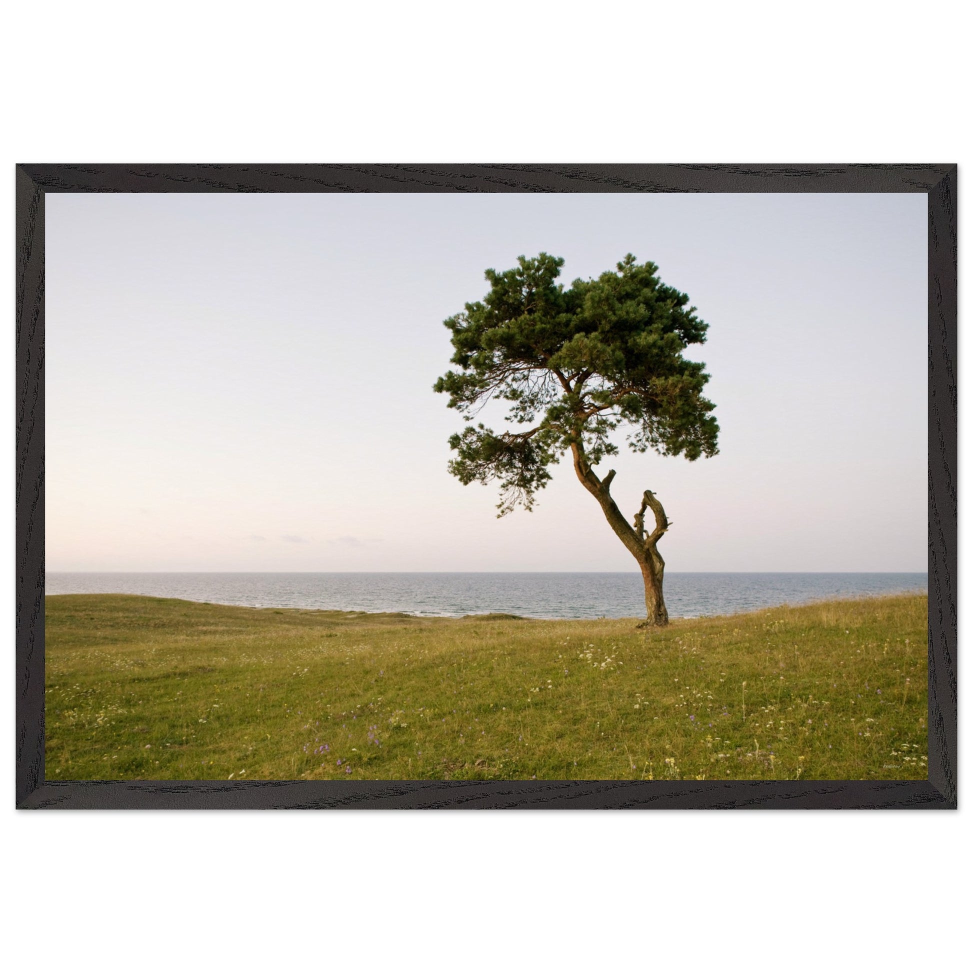 cd62d027-6655-4081-93fb-b23598f015d5