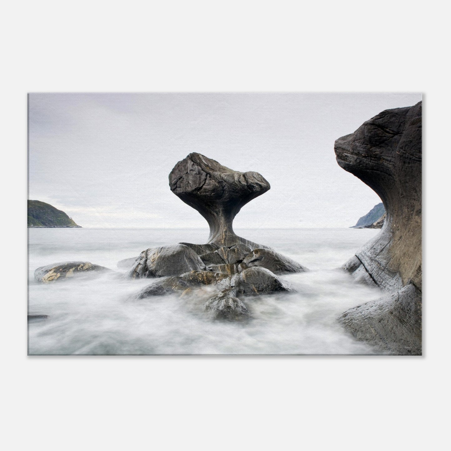 ce37d926-f10e-4ad2-92ab-ac8a4f96ee69