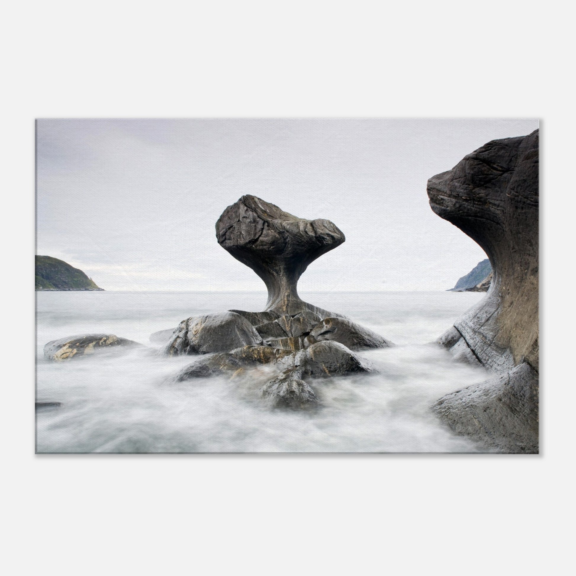 ce37d926-f10e-4ad2-92ab-ac8a4f96ee69