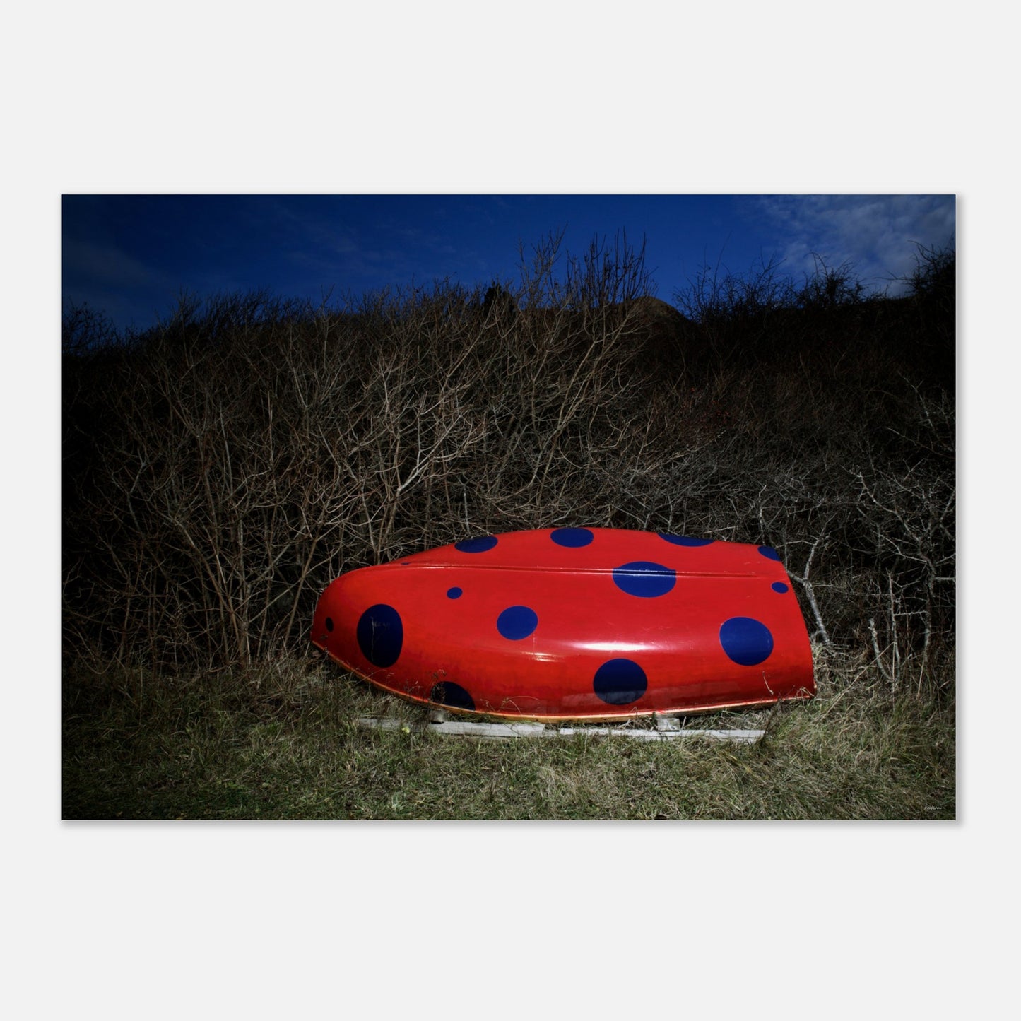 cf0a9427-d9b0-4a03-9537-a8d4de1822cb