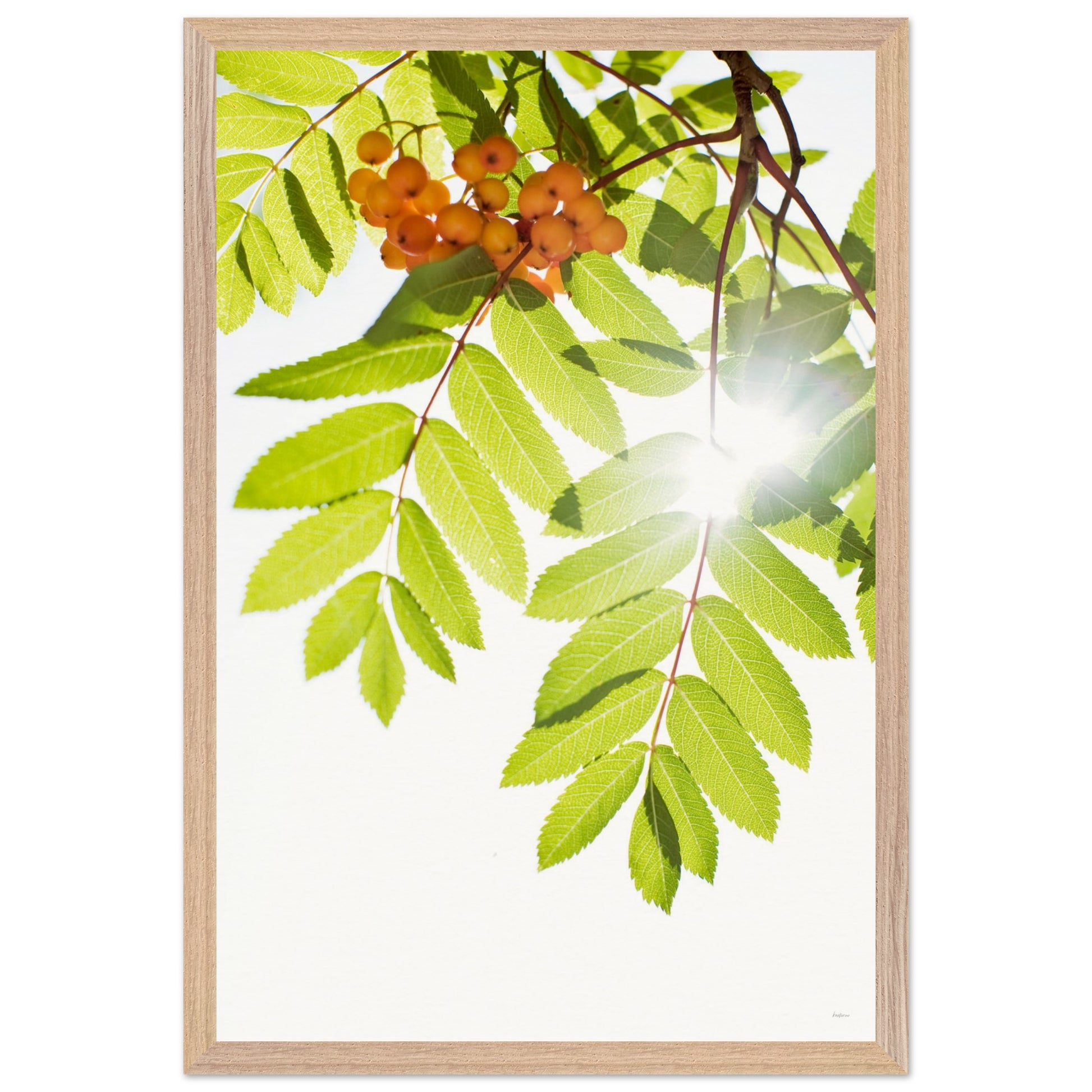 cf9aca07-73cd-4694-9080-632cdf83ced8