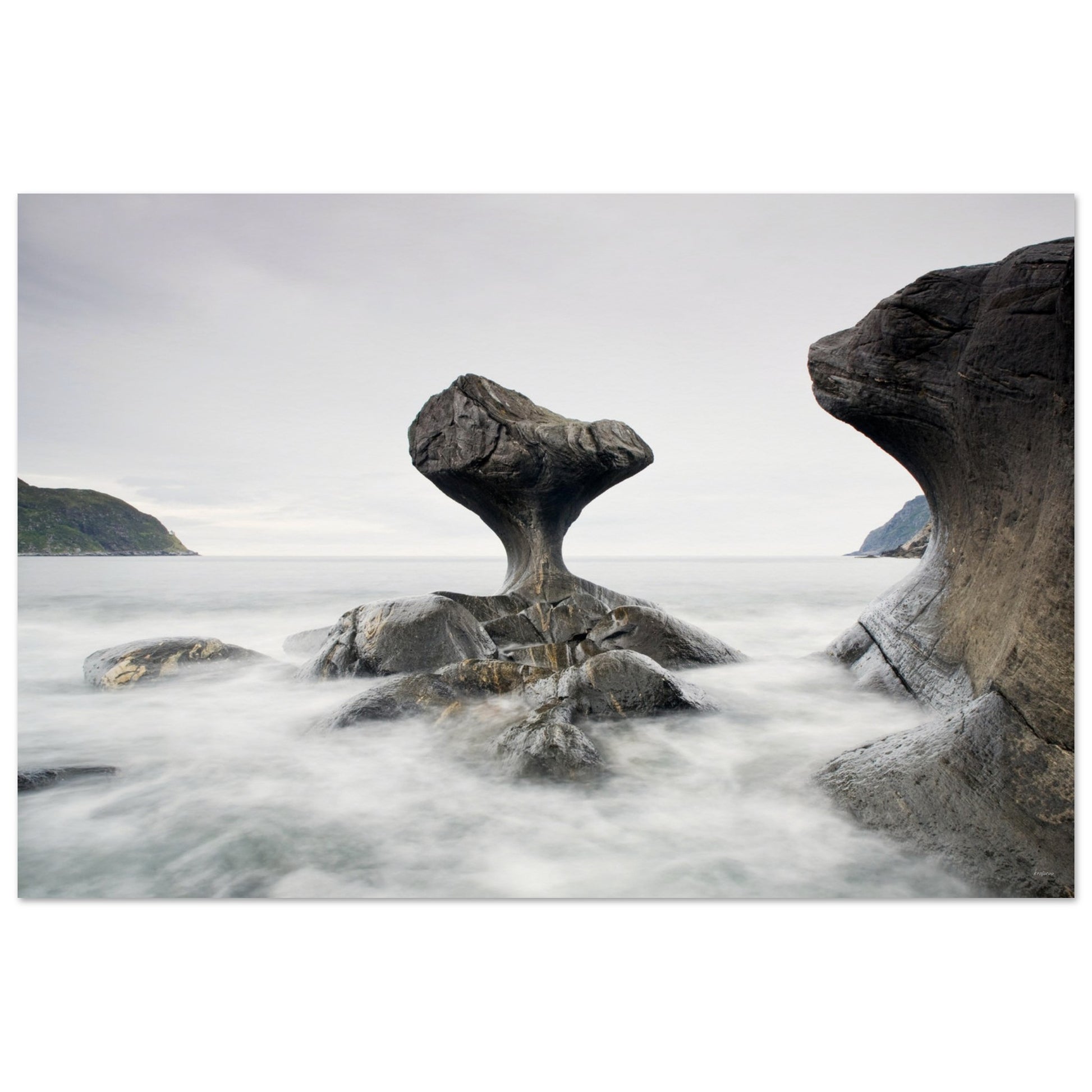 d00596a6-d322-42e3-a6f9-f3fc82f21a89