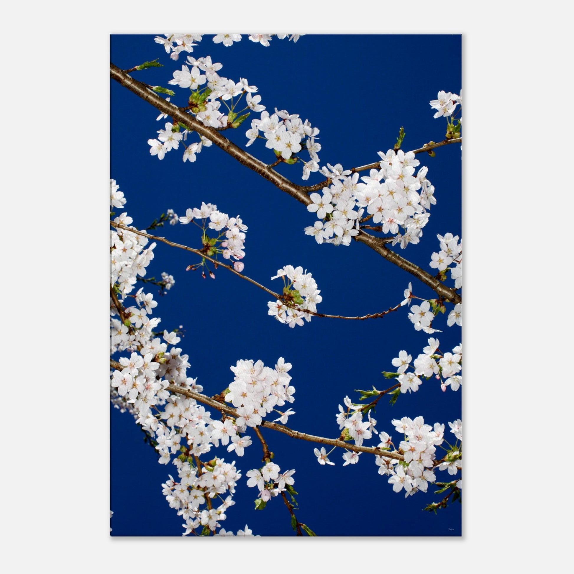 d01b27bb-5f8c-468c-9f23-339dbef4bfb8