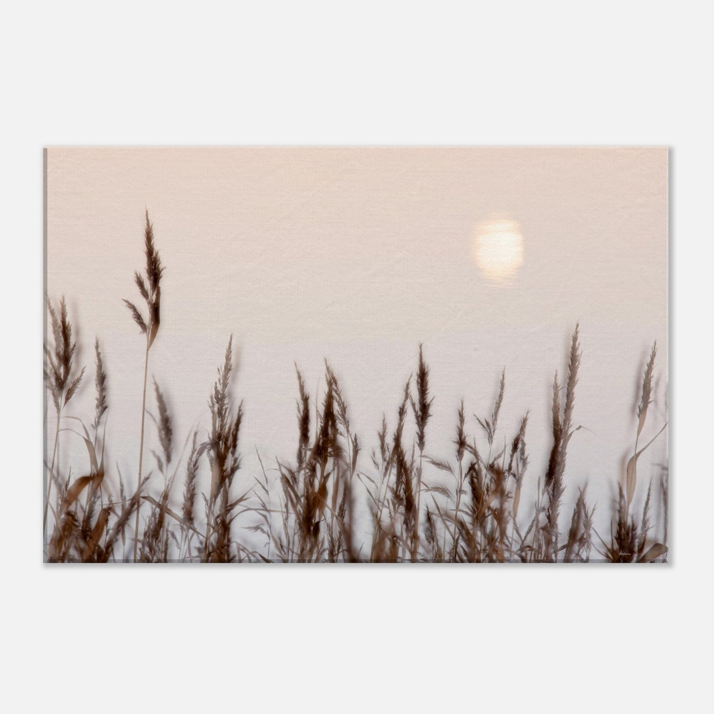 d07afeba-4c06-47de-8751-f7552c98f647