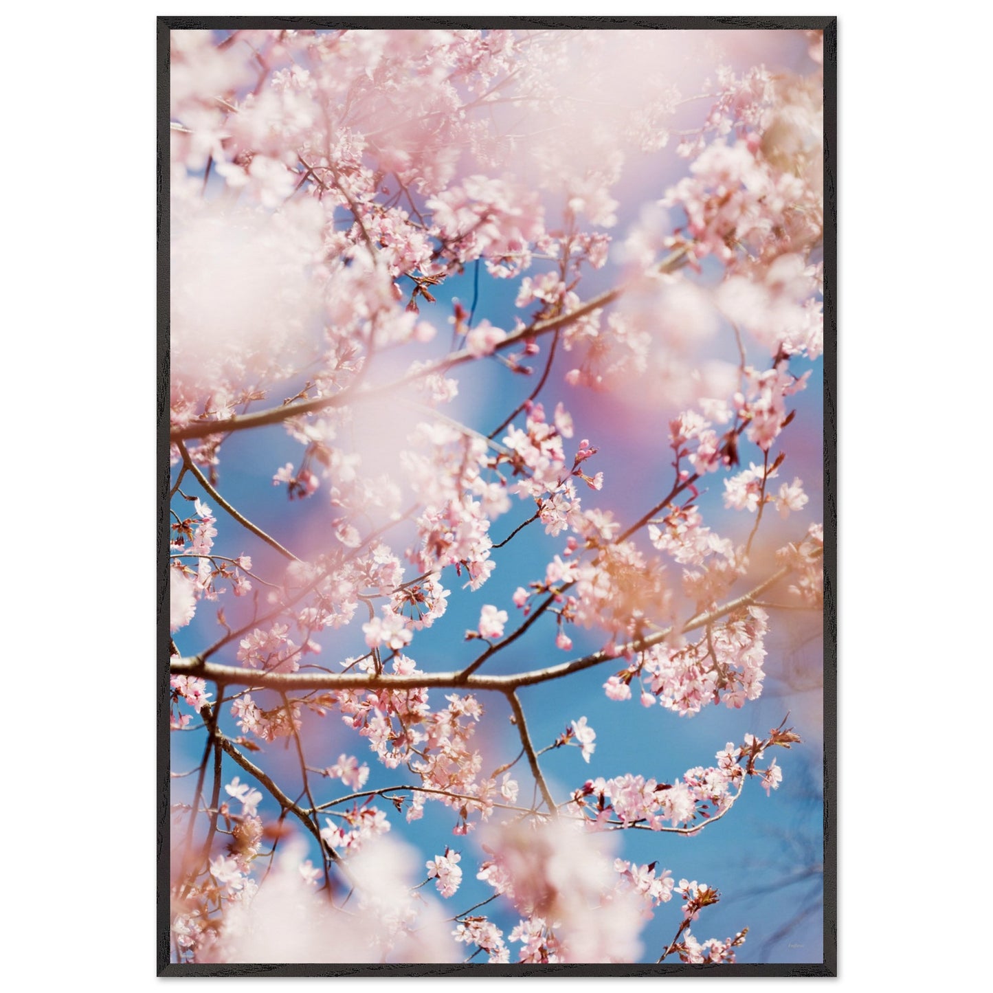 d0e50ef1-2105-4ea0-8533-15fc1fb82551