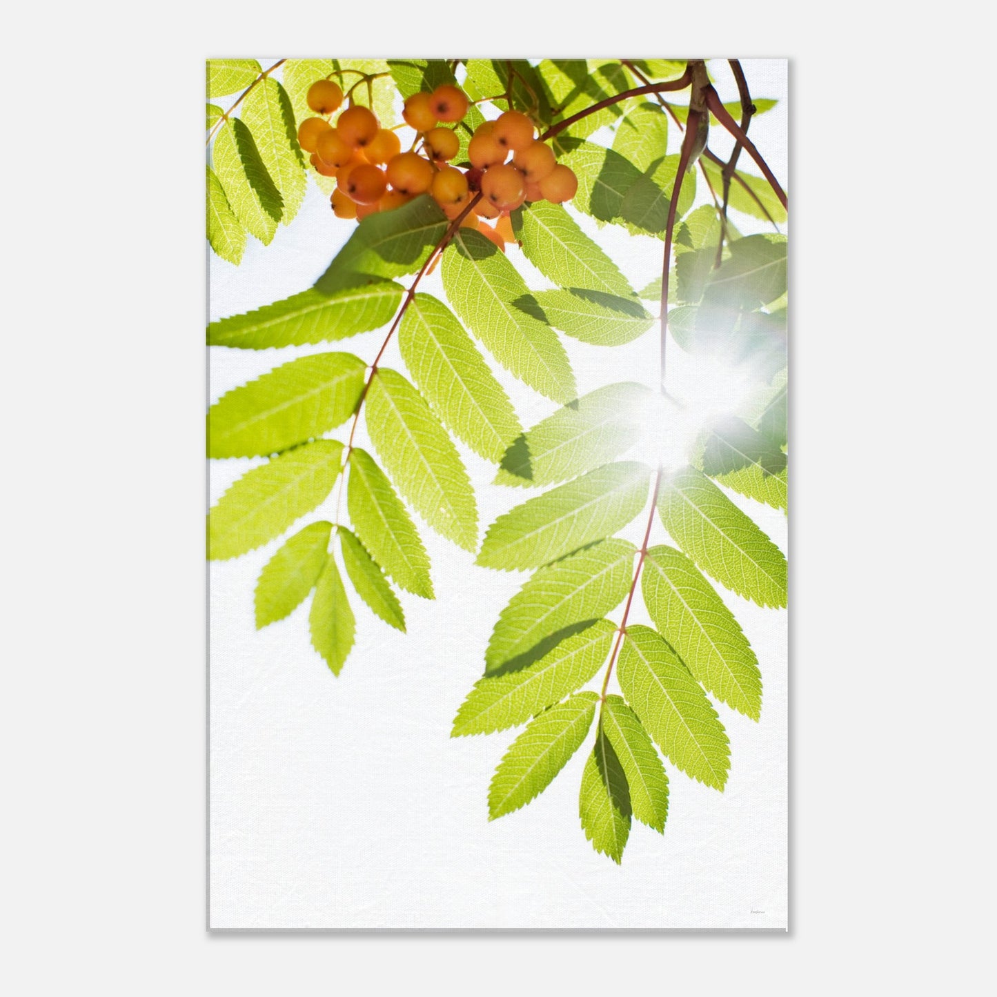 d128eb69-0826-412c-b9d8-00b392e08508