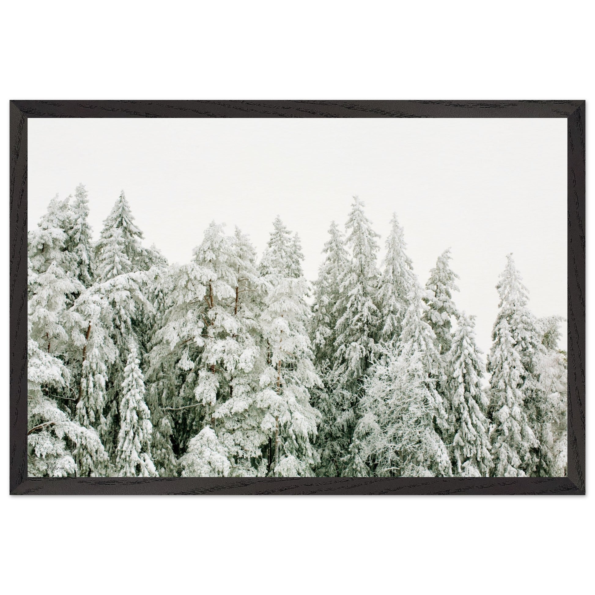 d1e5cffe-f527-43fc-8f1b-f2dcf671de74