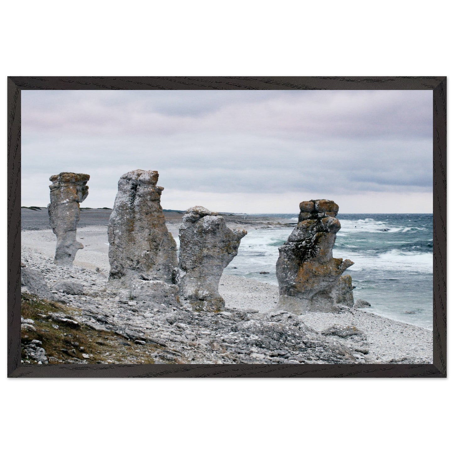 d20a9ab8-1cf1-466c-aef1-cbcdef6956d0