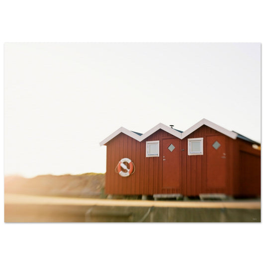 d228143d-1ff2-4871-ace6-301f0ecf60f9