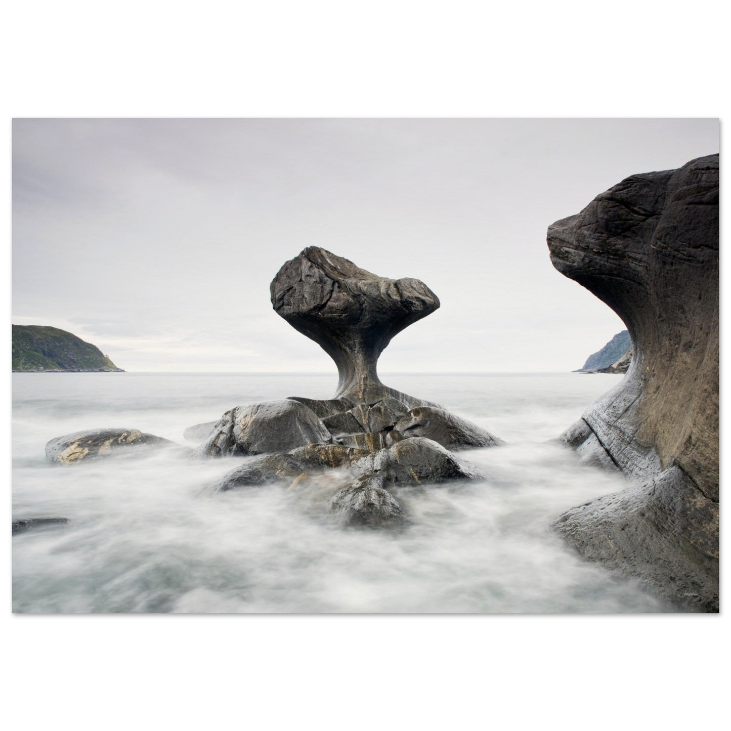 d29a10d6-f326-4877-8f9d-3f7d43c3404d