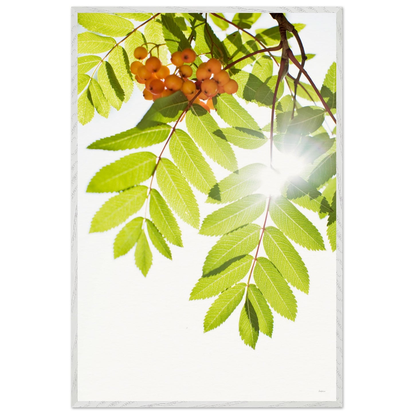 d2b12ffb-1454-4b67-b632-e23ce9d27a1a