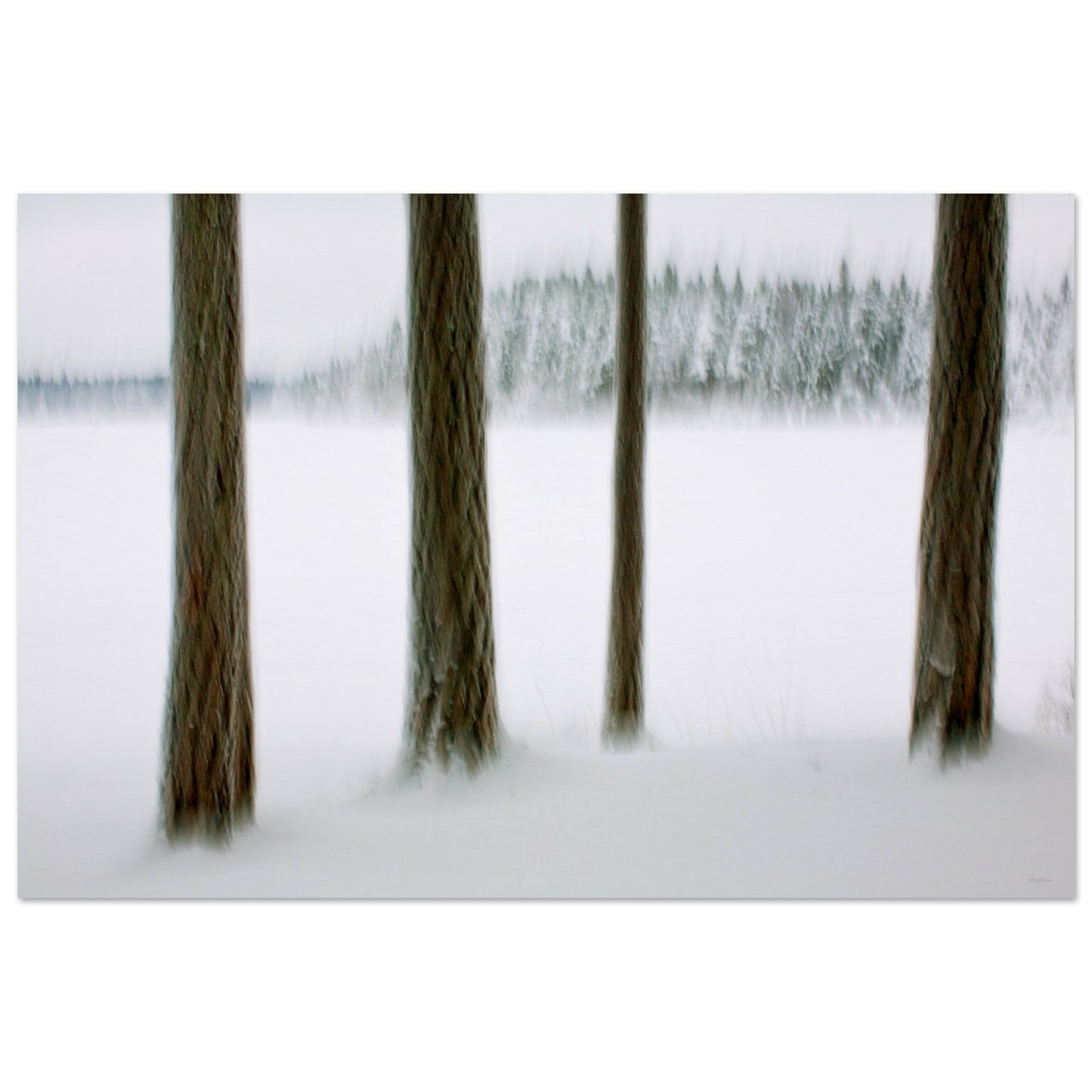 d484ddbd-d9c0-4796-8563-74e5a46a6052