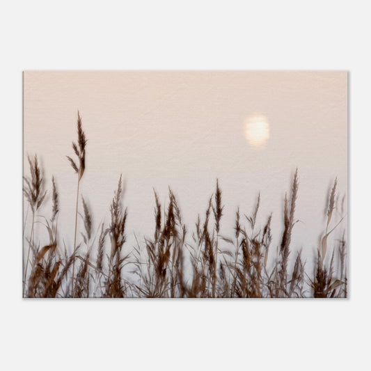 d4f5c64c-e13c-4db8-8d30-8c9a345d81ba