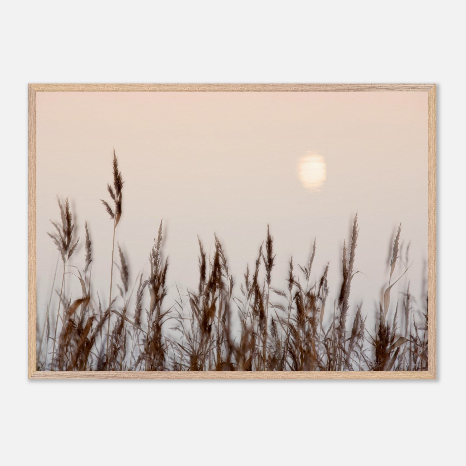 d5306afd-73dd-46fb-9fce-813cdc17c7ca