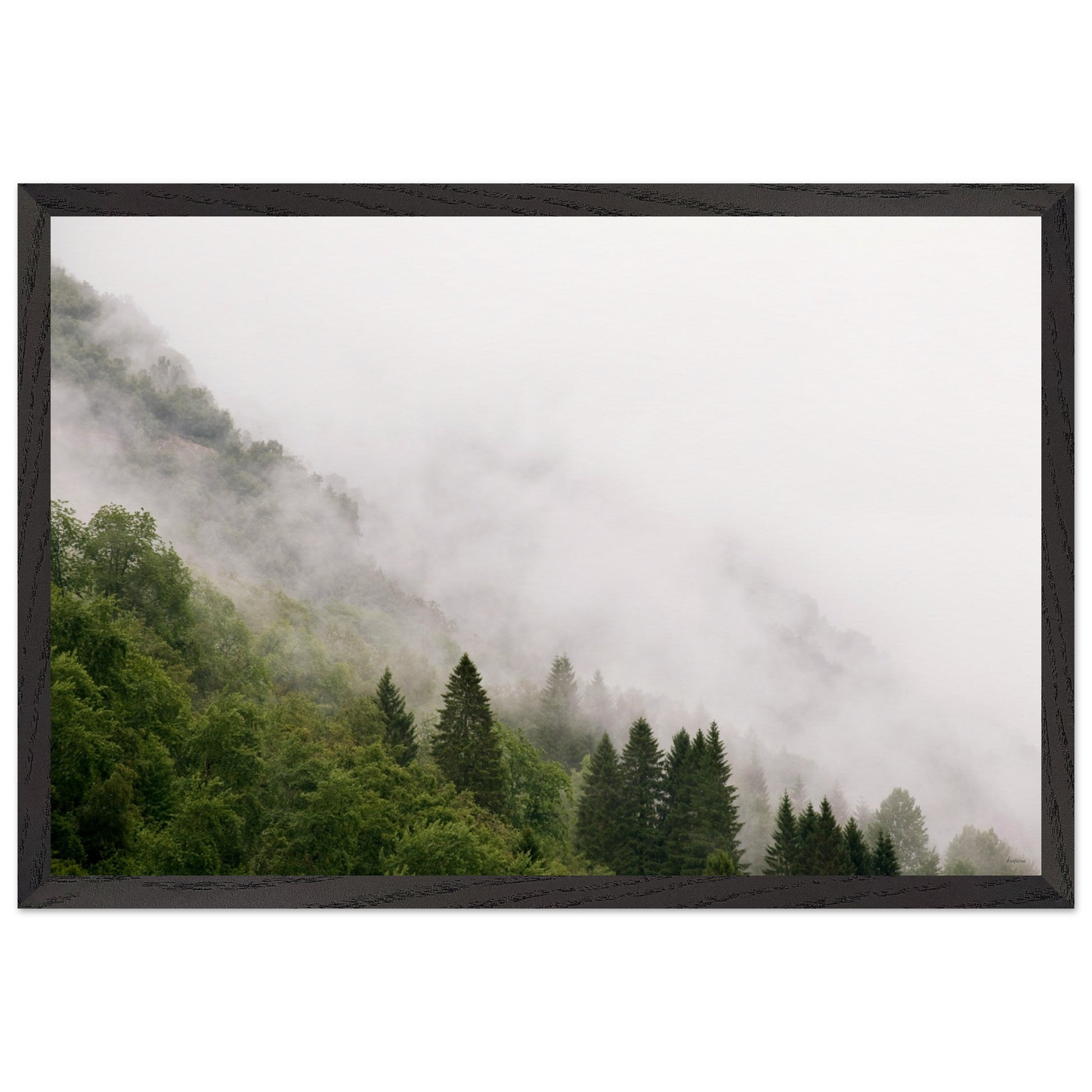 d5ab3800-4f10-4beb-abbd-f5f98f3f75b5