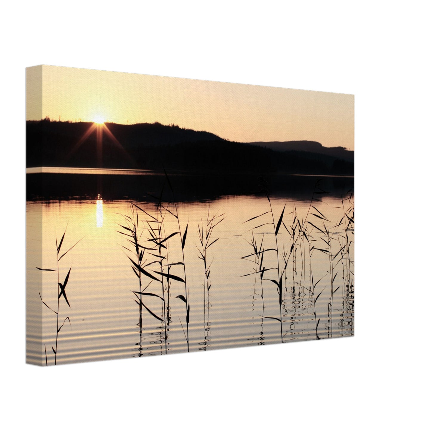 d6b08ef1-a1f8-48fd-b84a-592031e7e975