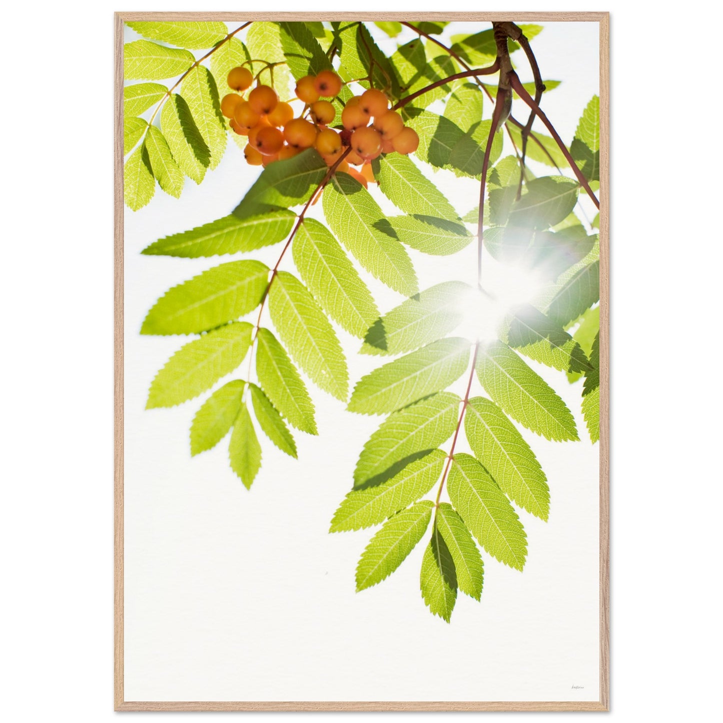 d71accd4-73ed-4f53-9287-4def3e013460