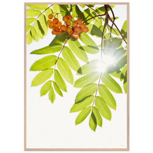 d71accd4-73ed-4f53-9287-4def3e013460