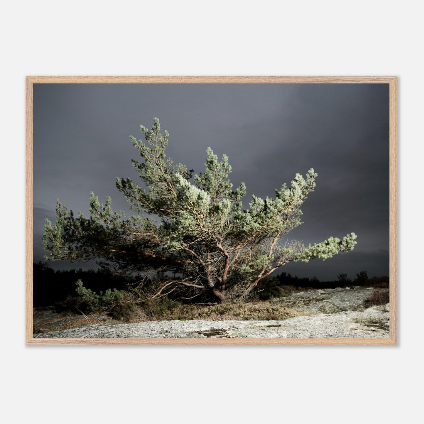 d79345d5-d9aa-4cbc-a187-b19044972d10