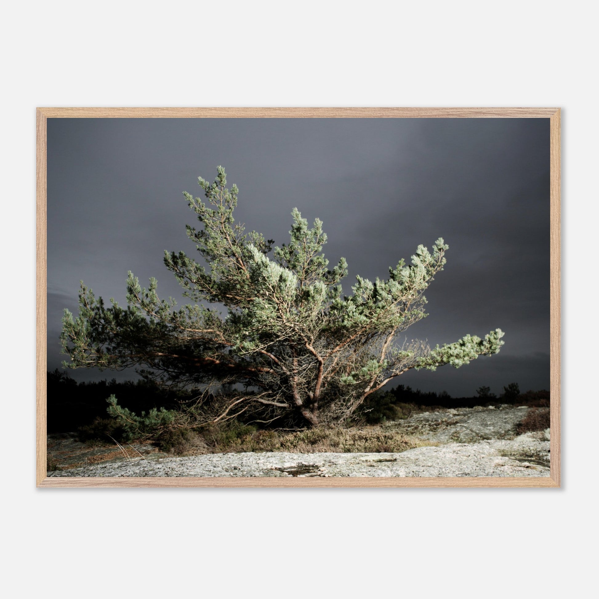 d79345d5-d9aa-4cbc-a187-b19044972d10