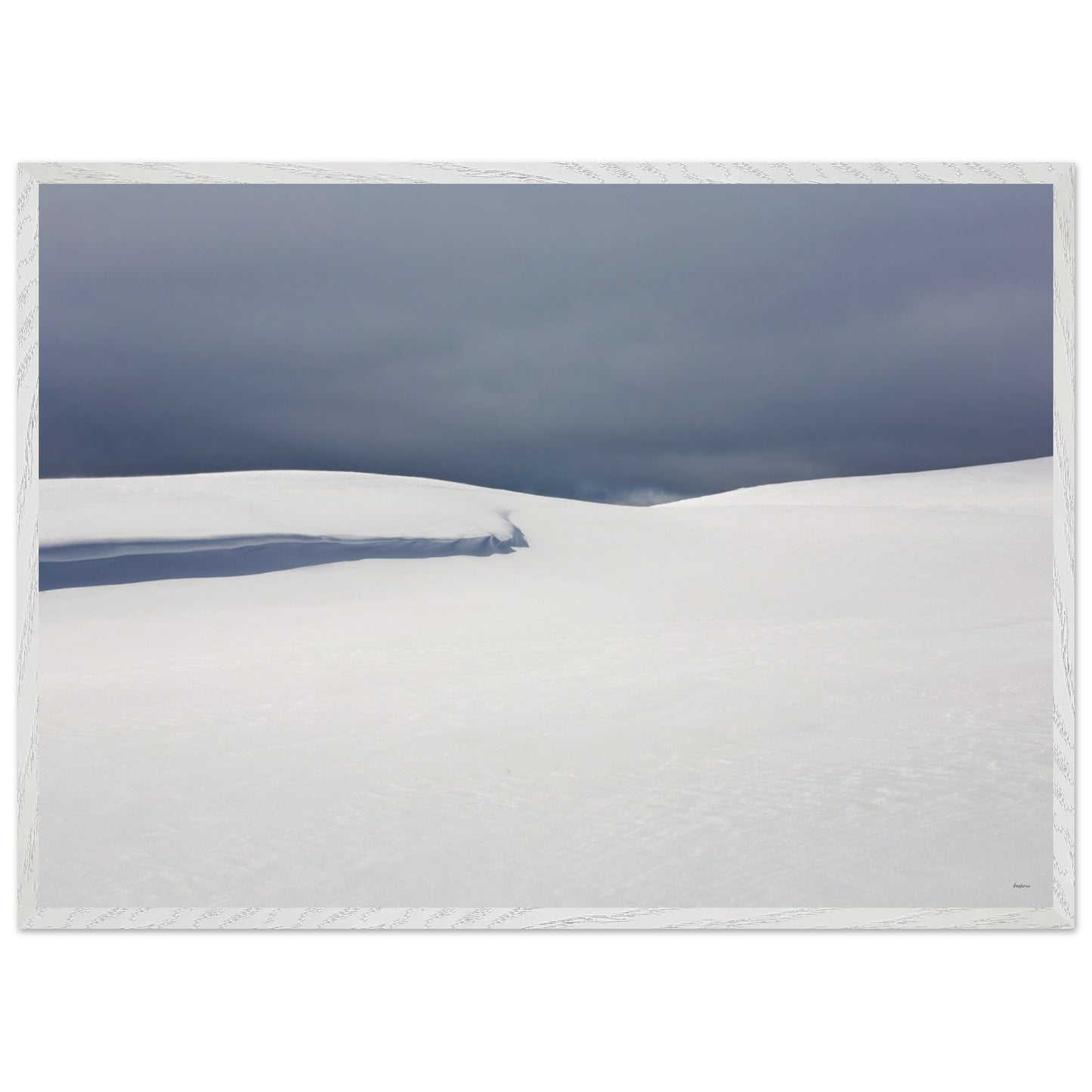 d81657b3-4b40-458f-a597-d0b47cd3e11a