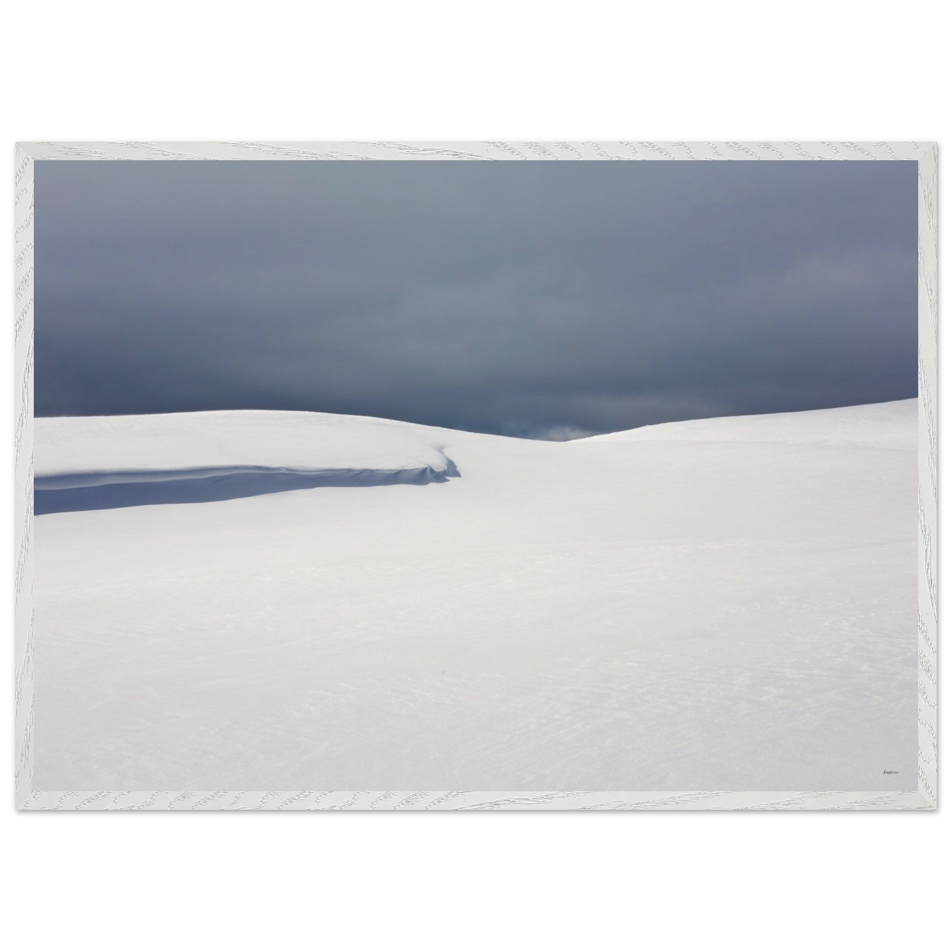 d81657b3-4b40-458f-a597-d0b47cd3e11a