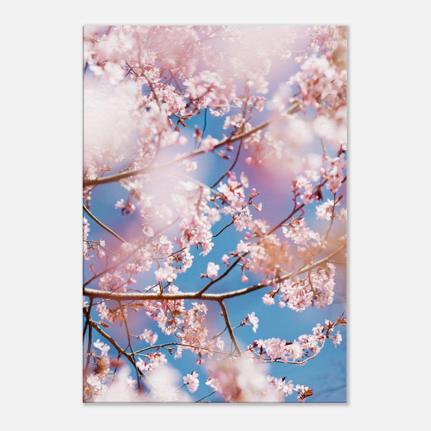 d8209589-a917-4223-812e-d47153ae593d