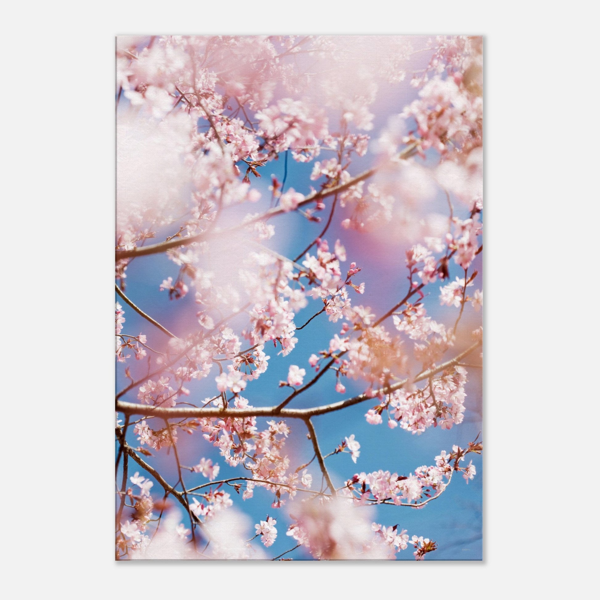 d8209589-a917-4223-812e-d47153ae593d