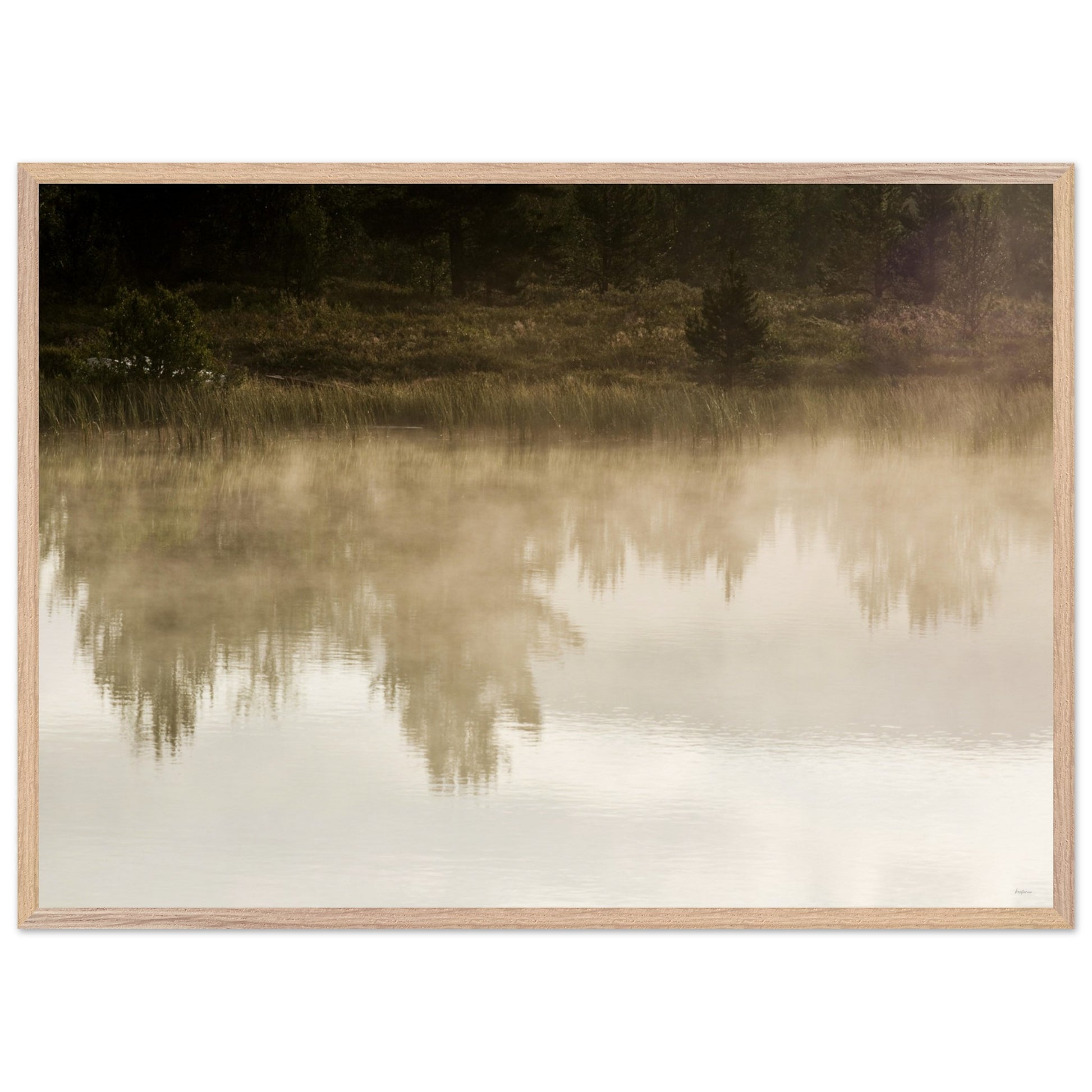 d8b0fd22-030e-4f93-8c0a-d10075d02779