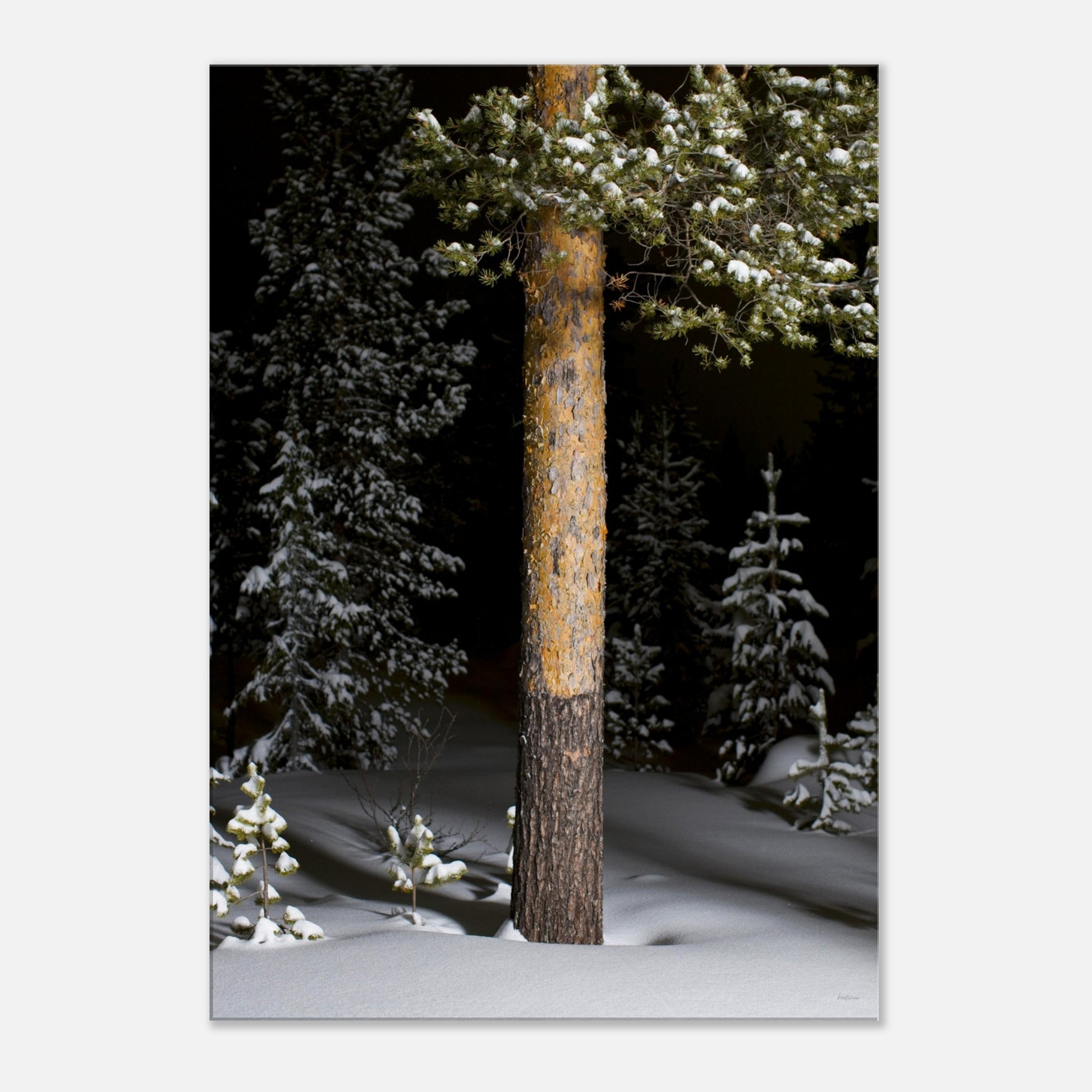 d9ac71c9-c24b-466f-a076-0ca6f9d22169