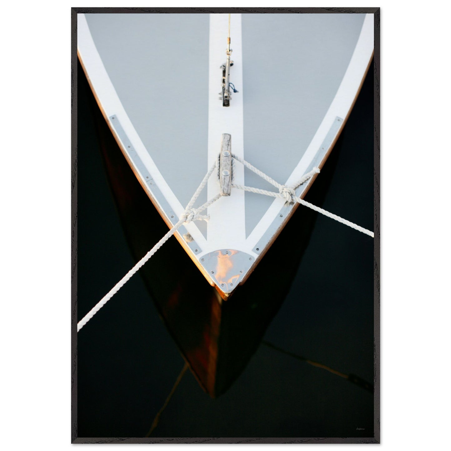 d9b55418-2070-4c05-a818-e93e2a6ec452