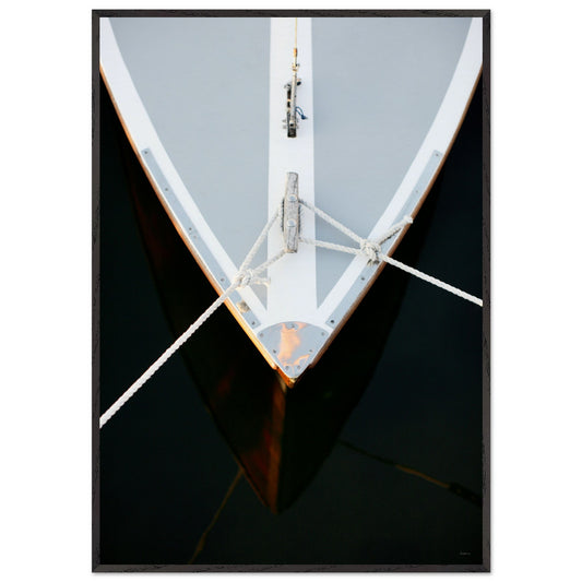 d9b55418-2070-4c05-a818-e93e2a6ec452